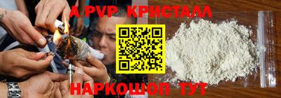 гидра Славгород