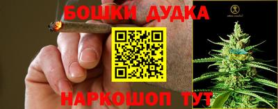 гидра Славгород
