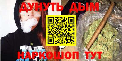 гидра Славгород