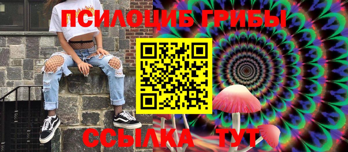 Моздок  Псилоцибиновые грибы прущие грибы  Вход с VPN  Галлюциногенные грибы Psilocybine cubensis 