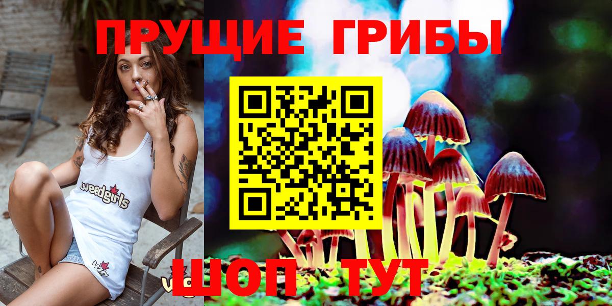 Псилоцибиновые грибы Psilocybine cubensis Моздок